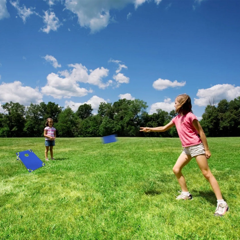 Portable Cornhole Set With 1 C - Cornhole Board Set ulasan dan harga